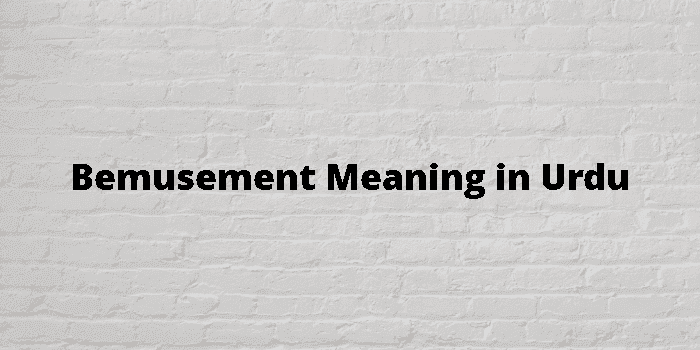 bemusement