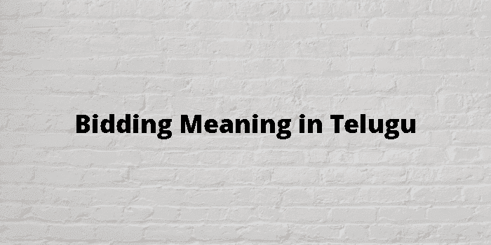 bidding-on-online-casting-sites-how-to-maximize-your-pay-bid-it