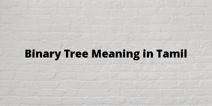 binary tree