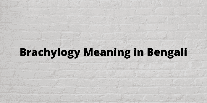 brachylogy