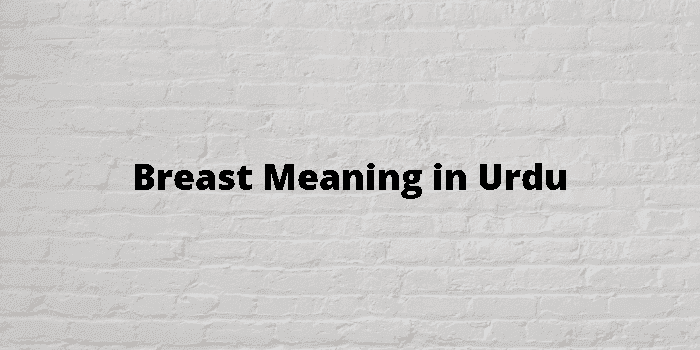 Breasts Meaning In Urdu, Seenah سینہ