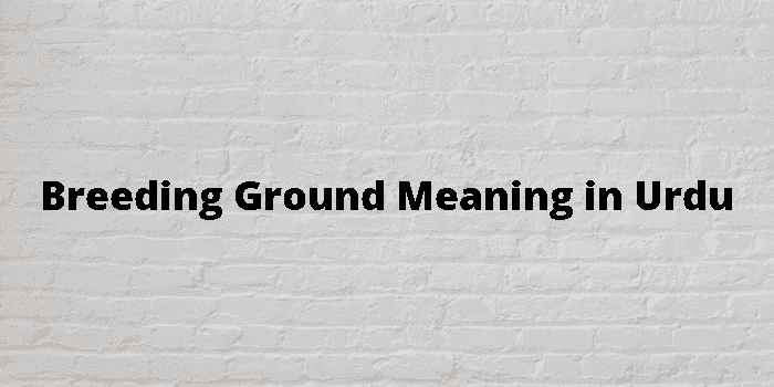 breeding ground