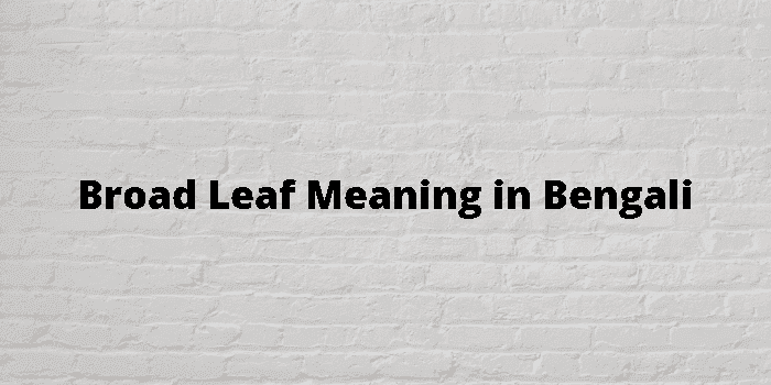 broad leaf