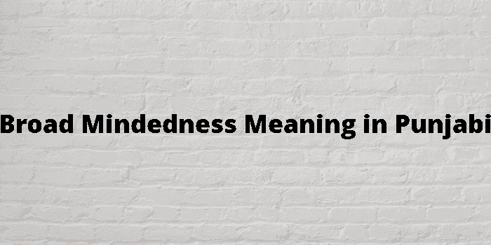 broad mindedness