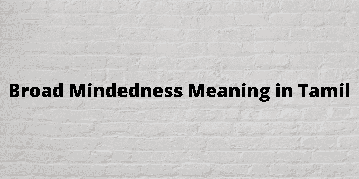 broad mindedness