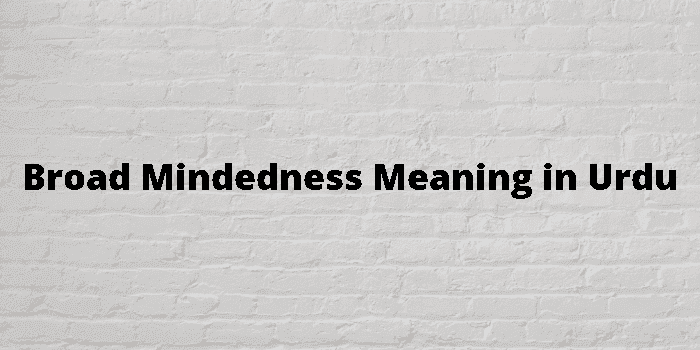 broad mindedness