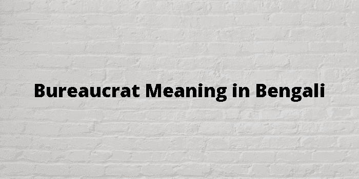 bureaucrat