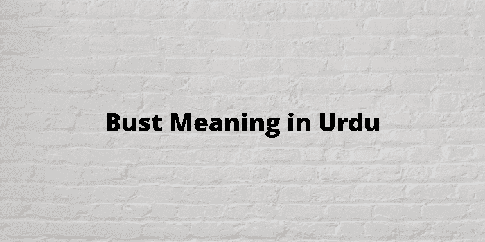 Bust In Meaning In Urdu, عورت کی چھاتی میں