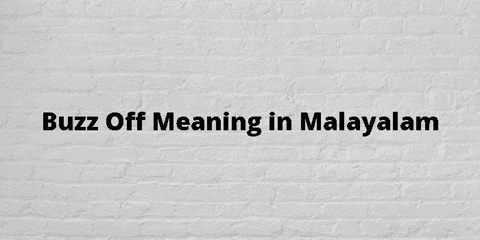 buzz-off-meaning-in-malayalam