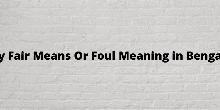 by fair means or foul