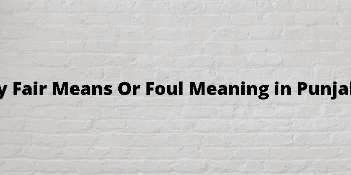 by fair means or foul