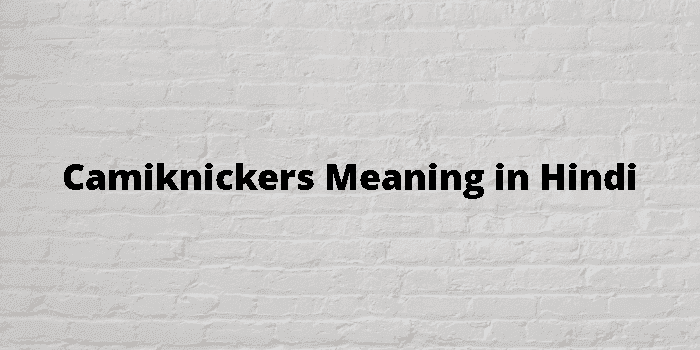 camiknickers