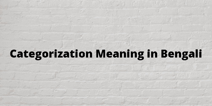 categorization