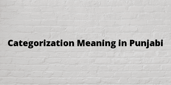 categorization