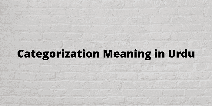 categorization