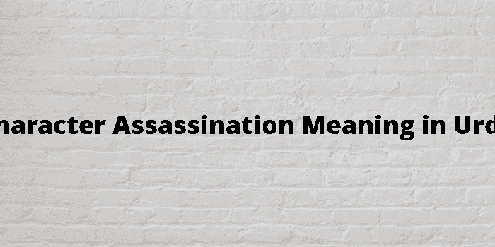 character assassination
