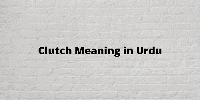 Meaning of Clutch in Urdu. Clutch کے اردو معنی. Clutch کیسا دیکھتا ہے