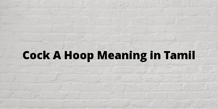 cock a hoop