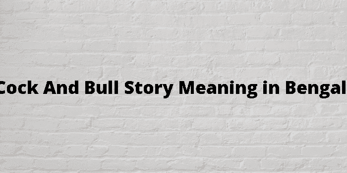 cock and bull story