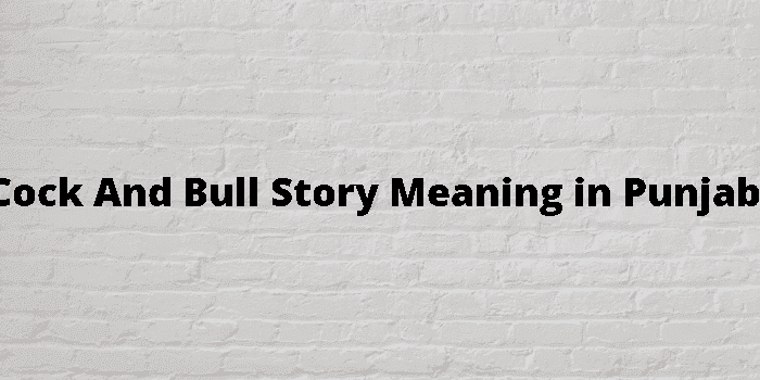 cock and bull story