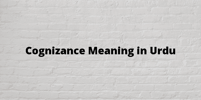 cognizance