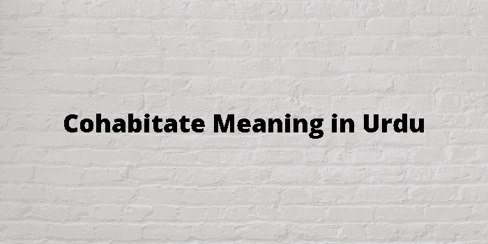 cohabitate