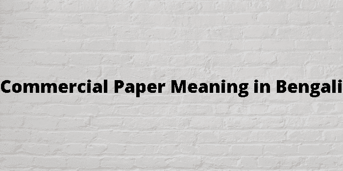 commercial paper