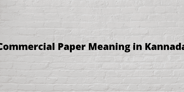 commercial paper