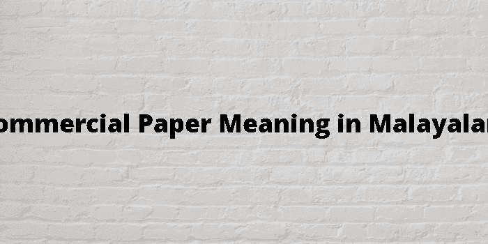 commercial paper