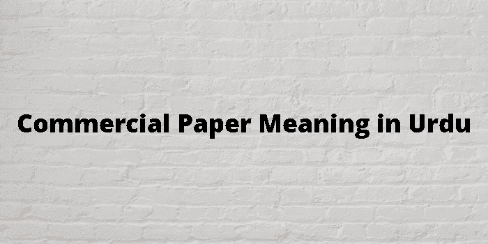 commercial paper