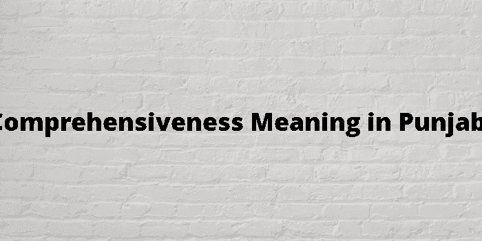 comprehensiveness