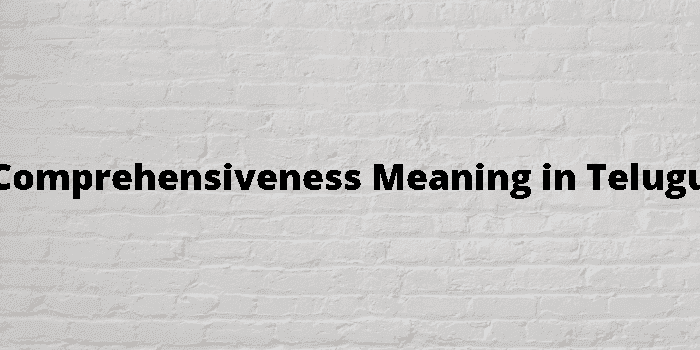 comprehensiveness