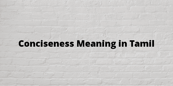 conciseness