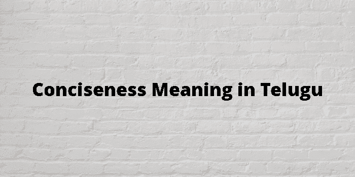 conciseness