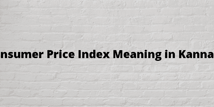 consumer price index