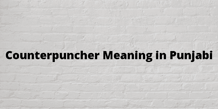 counterpuncher