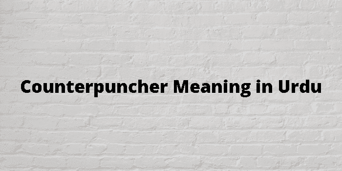 counterpuncher