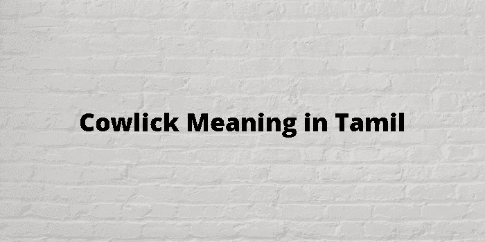 cowlick-meaning-in-tamil