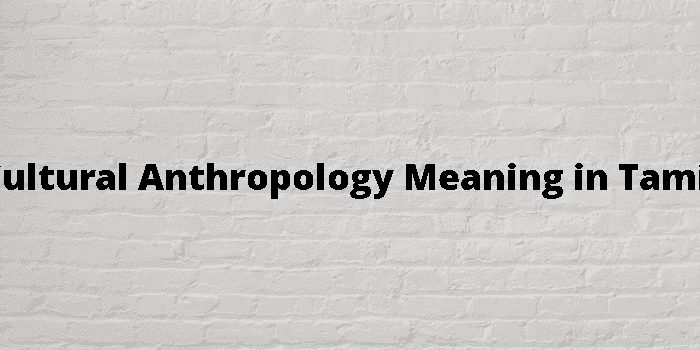 cultural anthropology