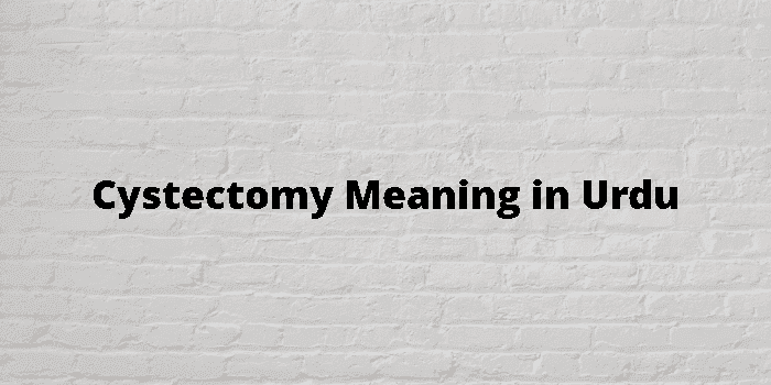cystectomy