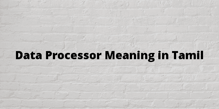 data processor