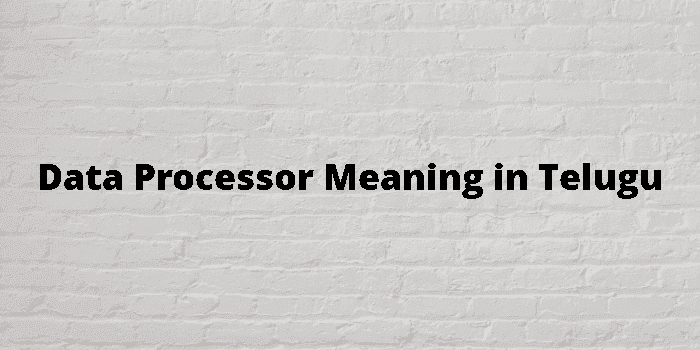 data processor