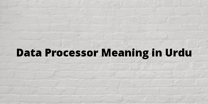 data processor