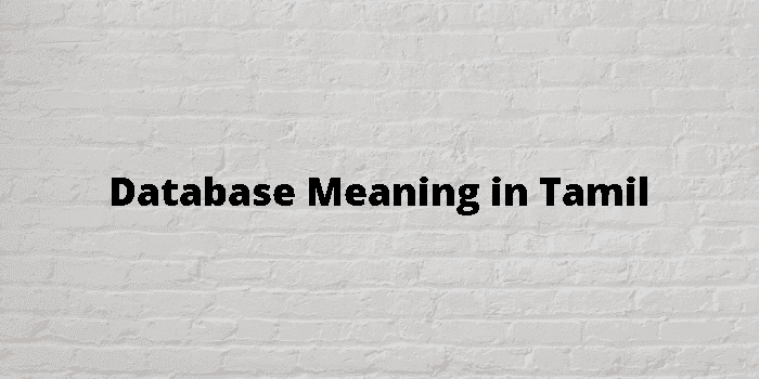 database