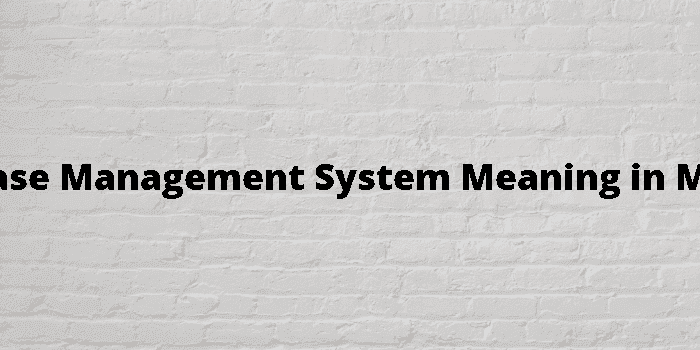 database management system