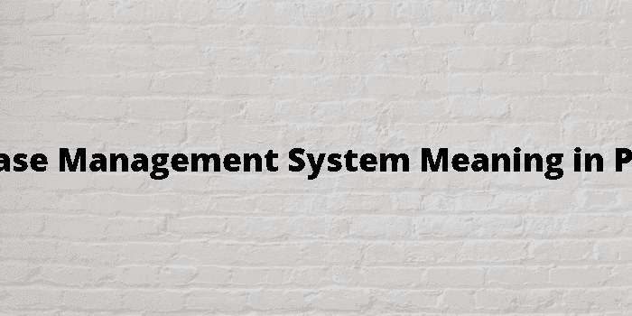 database management system