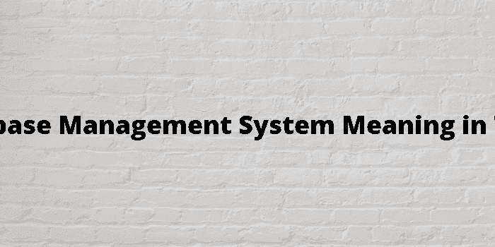 database management system