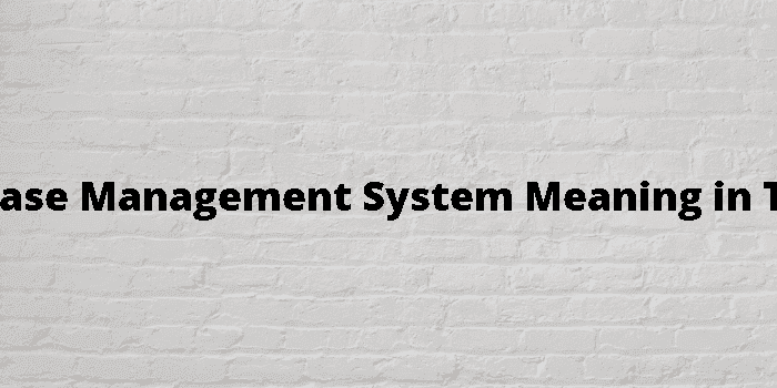 database management system