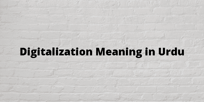 digitalization-meaning-in-urdu