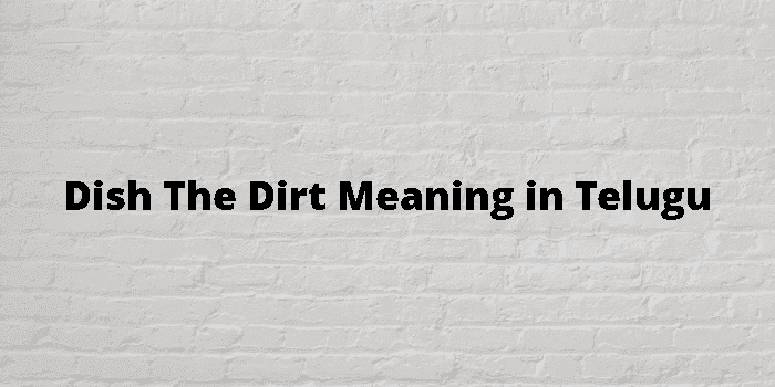 dish the dirt